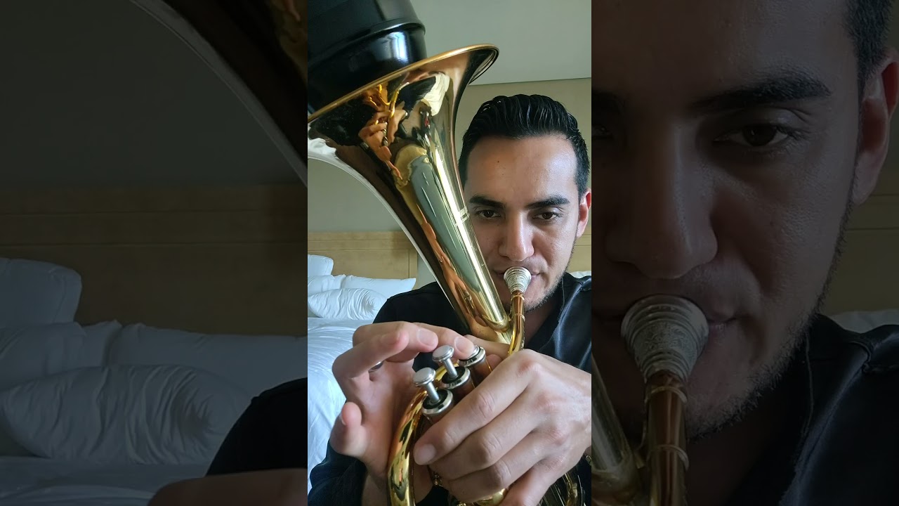El Búho (Tutorial de Armonía) 🔥🔥