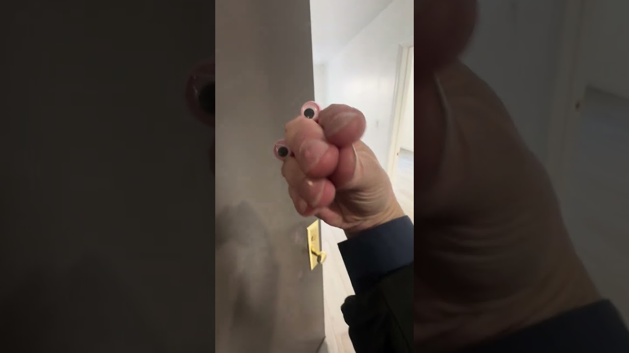 62 41 Forest ave , 2B video