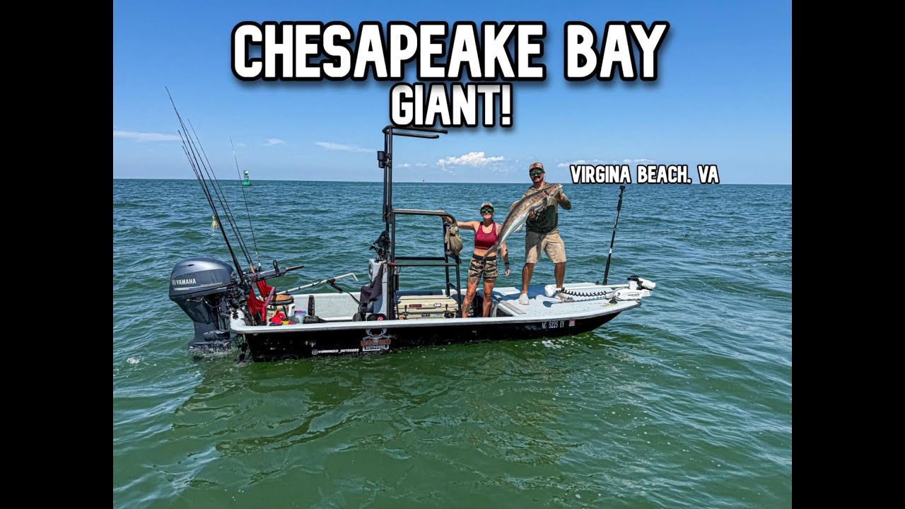 Sight Fishing Cobia in the Chesapeake Bay | Catching a Giant on a Carolina Skiff J16 