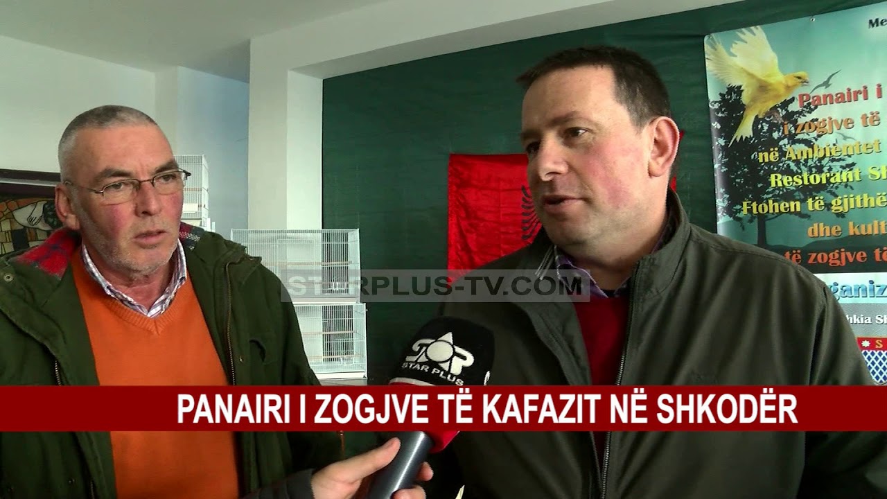 PANAIRI I ZOGJVE TË KAFAZIT NË SHKODËR