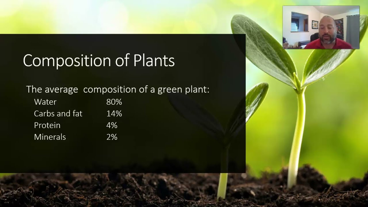 Soil Fertility and Plant Growth
