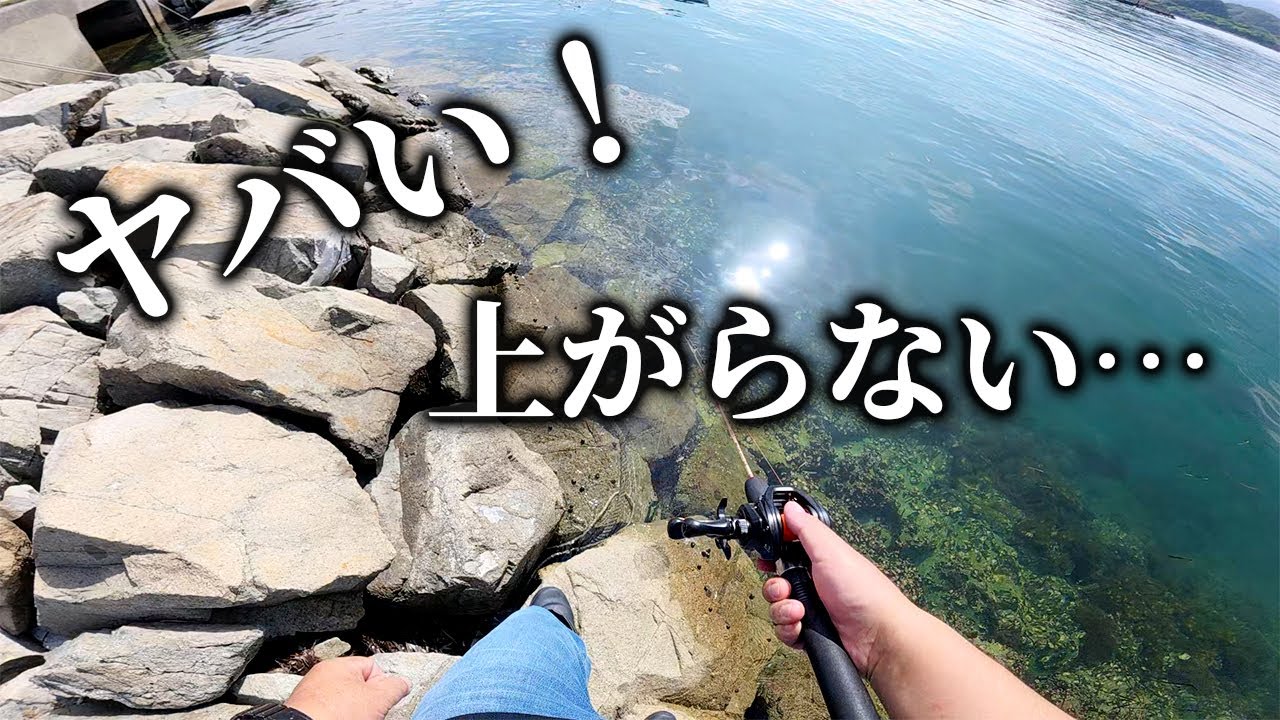 【穴釣り】ヤバい！上がらない！！釣ったカサゴを調理したら美味しすぎた！