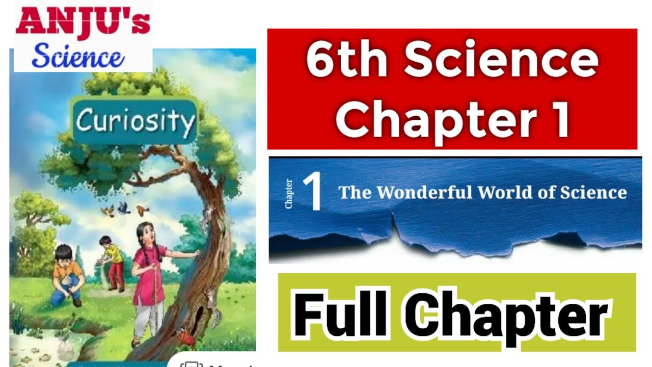 6th Science | Curiosity | Chapter 1 The Wonderful World of Science