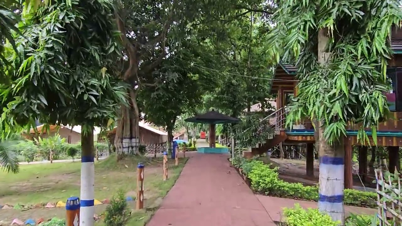 Morning bliss at Banaful resort 