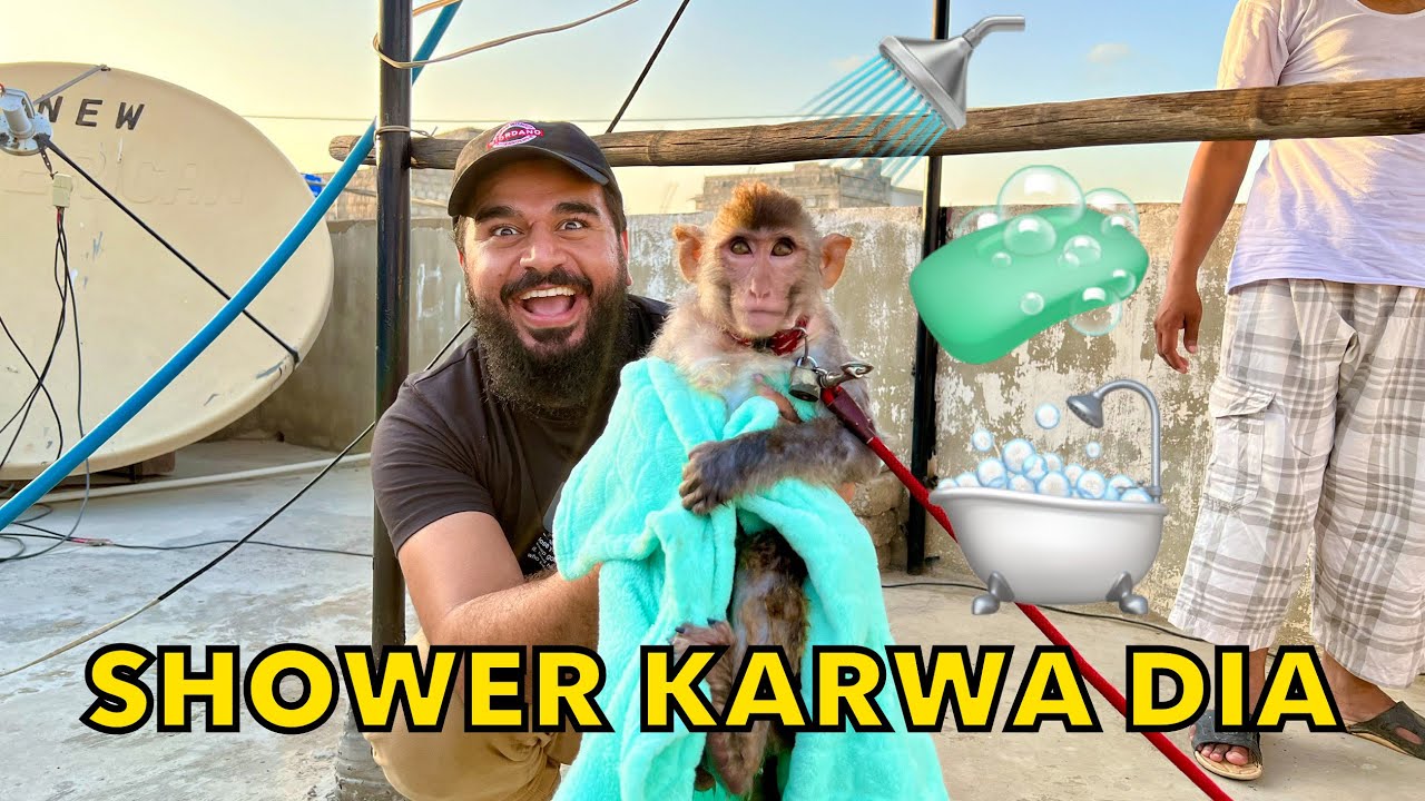 Monkey ko shower karwa dia aaj 🧼🚿🐒