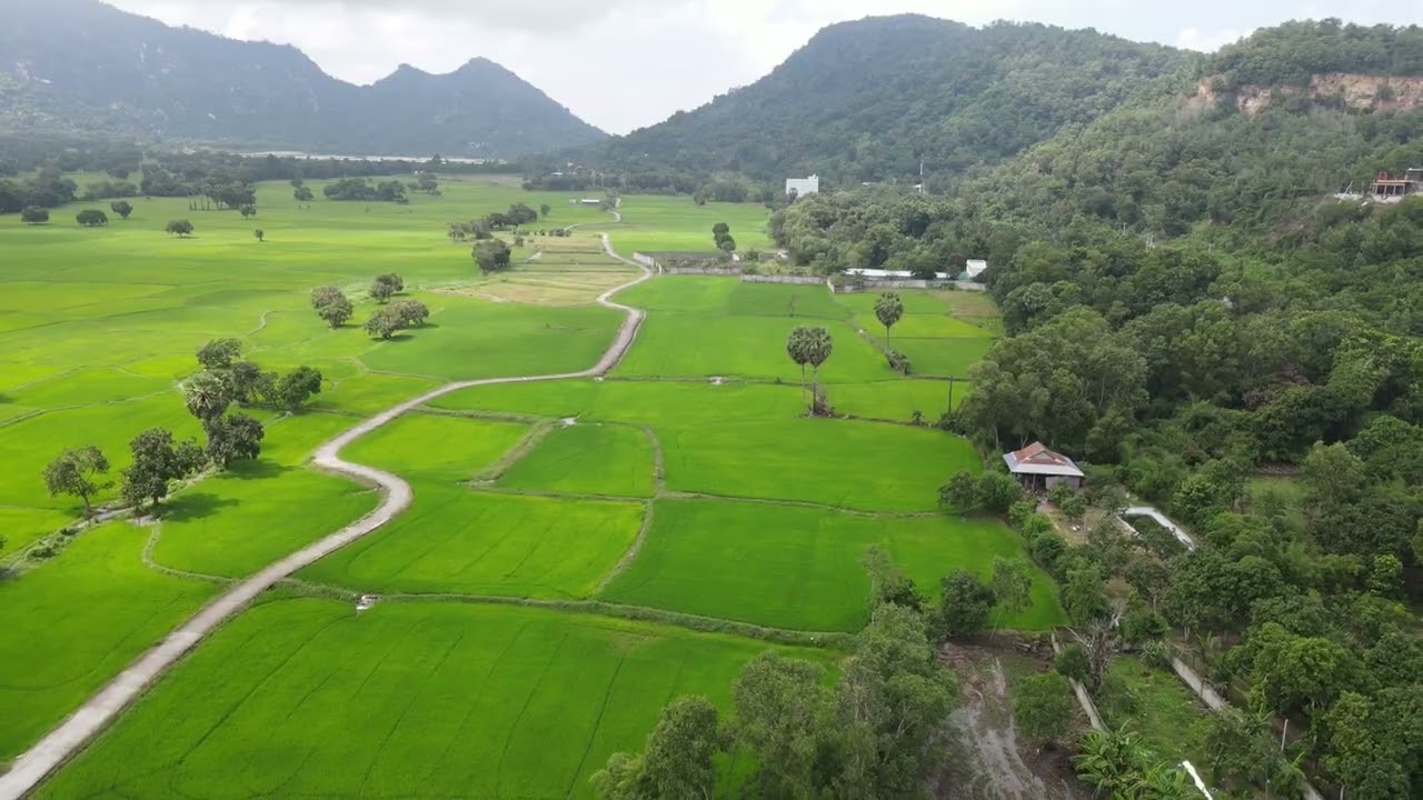 Peaceful Countryside Landscape | Relaxing Nature Views & Scenic Green Fields | 4K Drone Video