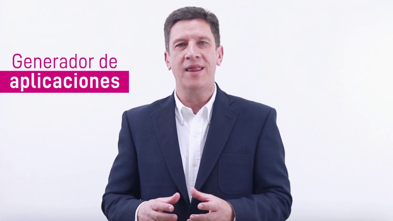 &iquest;Qu&eacute; es Gestor?
