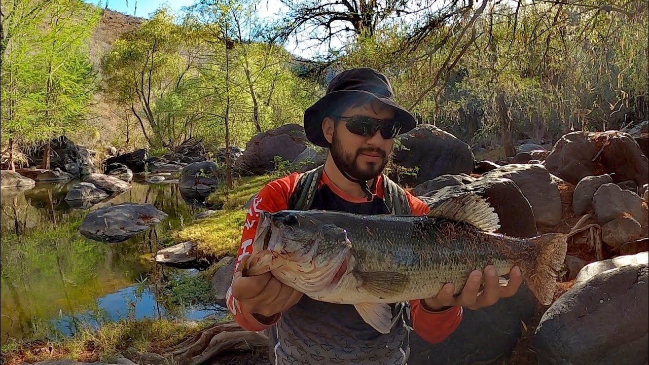 Pescando en la Sierra de Zacatecas | Este pequeño río tiene lobinas gigantes