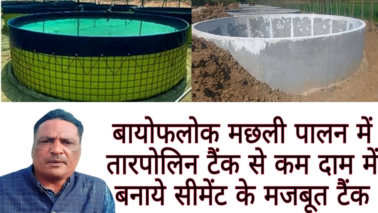 FISH FARMING BIOFLOC/ LOW PRICE CEMENT TANK तारपोलिन टैंक से कम दाम में बनाये सीमेंट के मजबूत टैंक