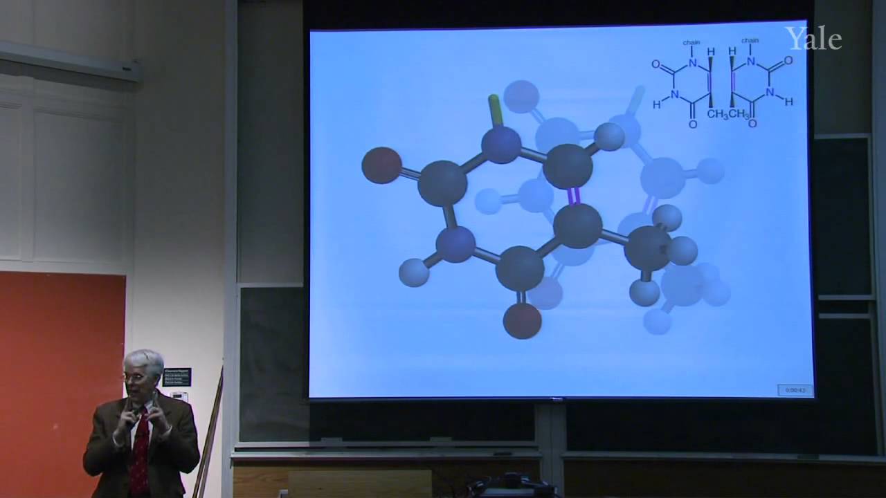 19. Aromatic Transition States: Cycloaddition and Electrocyclic Reactions