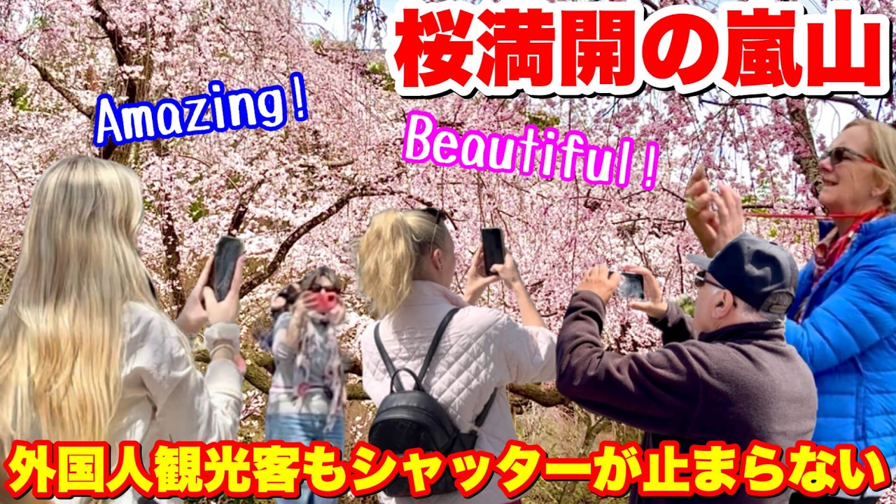 「さすがJapan!」桜満開の嵐山で外国人観光客もシャッターが止まらない！