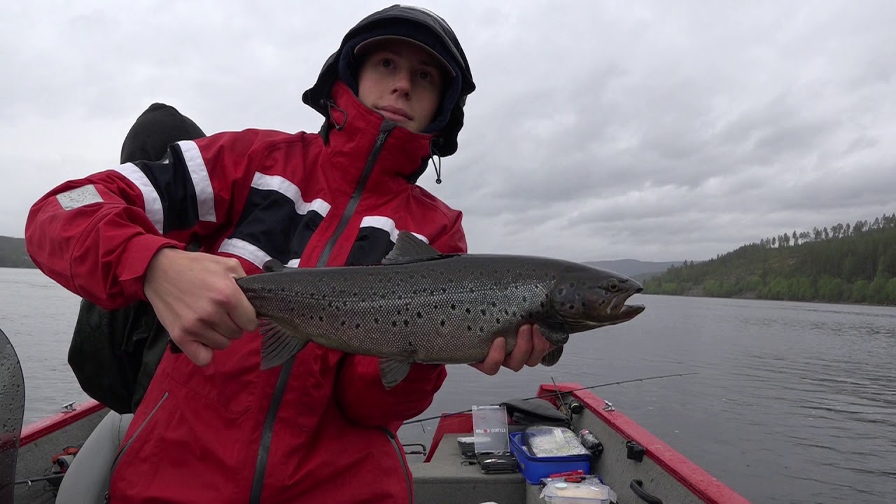 Ørretfiske i Storsjøen i Rendalen.