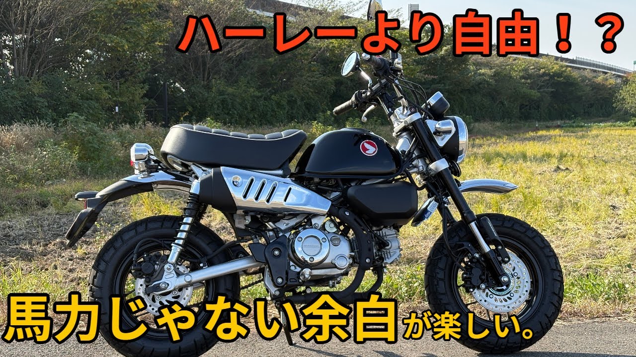 モンキー125レビュー「排気量の暴力より、自由の暴力。モンキー125が教えてくれたこと。」