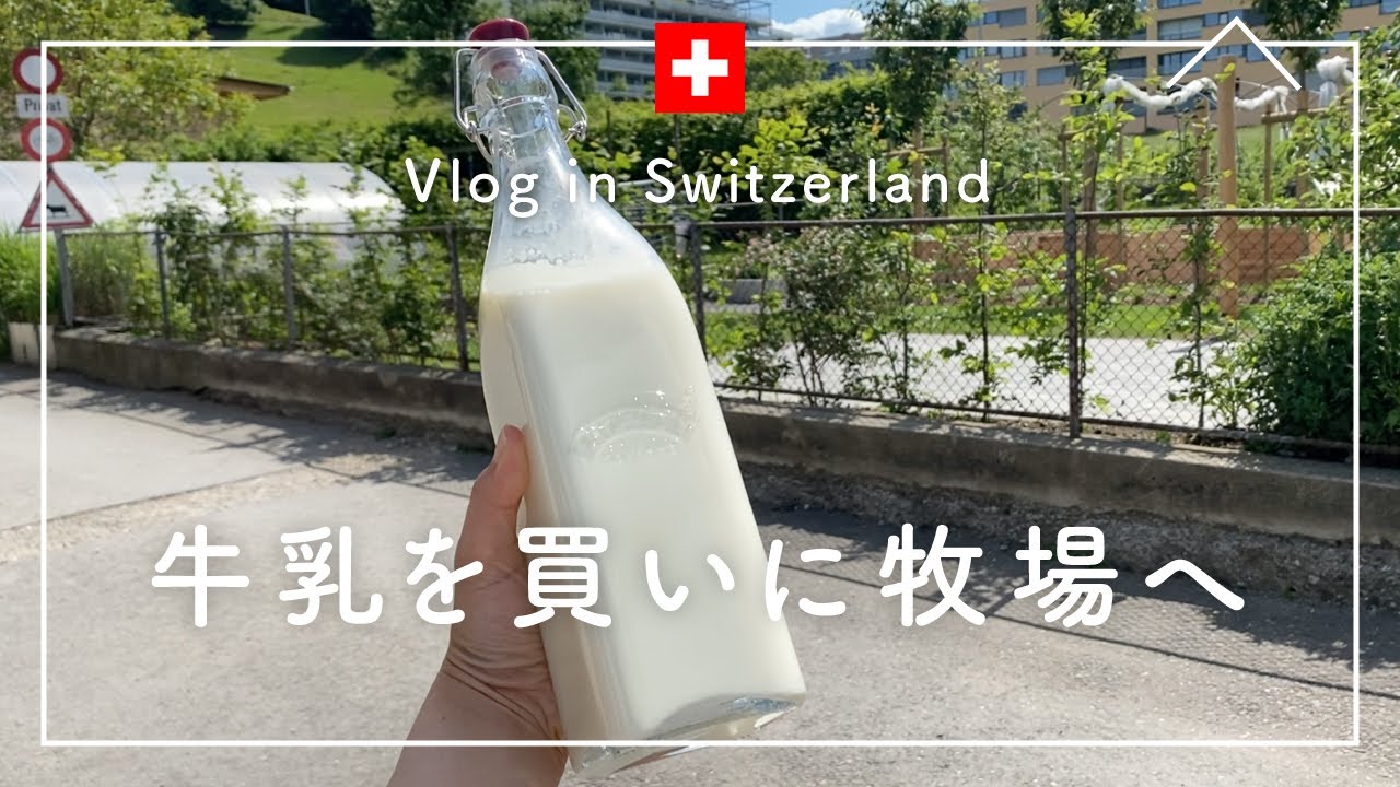 [海外生活]スイスの牧場で牛乳をお買い物｜おうちで手作り味噌｜天地返し、夕飯作り、散歩｜スイス生活Vlog｜