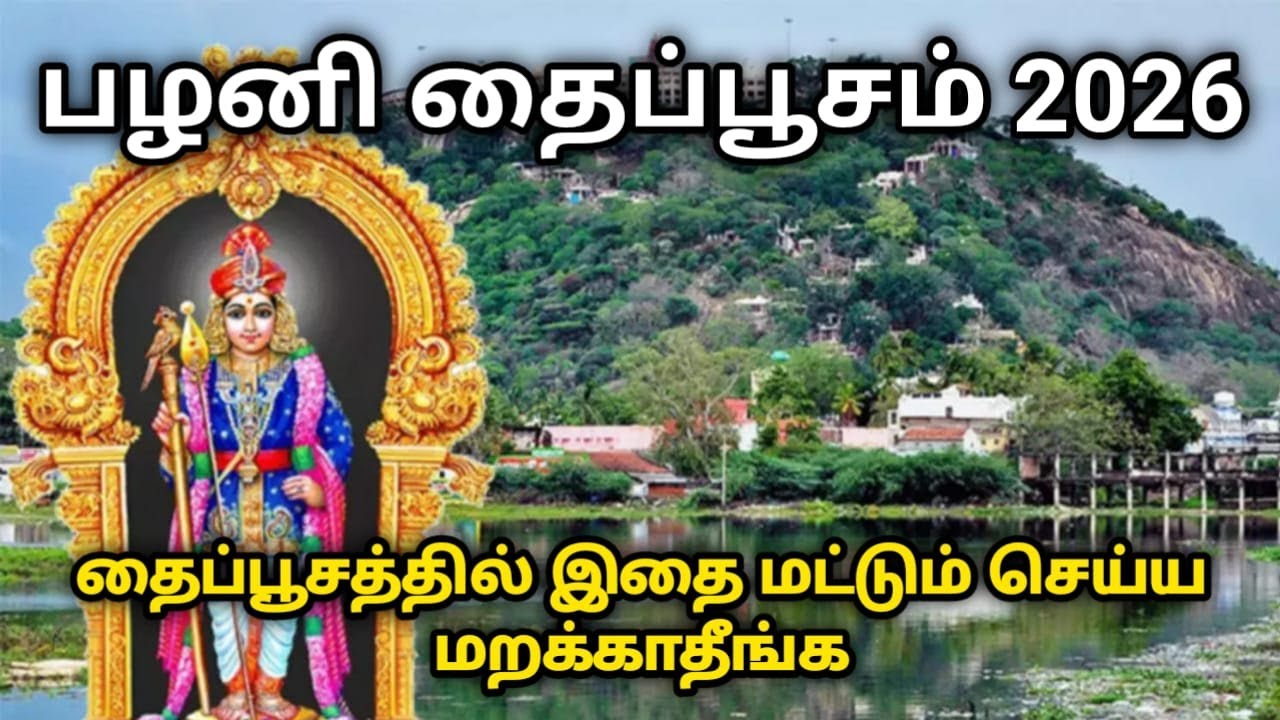 பழனி தைப்பூசம் 2026 ! தைப்பூசத்தில் இதை மட்டும் செய்ய மறக்காதீங்க