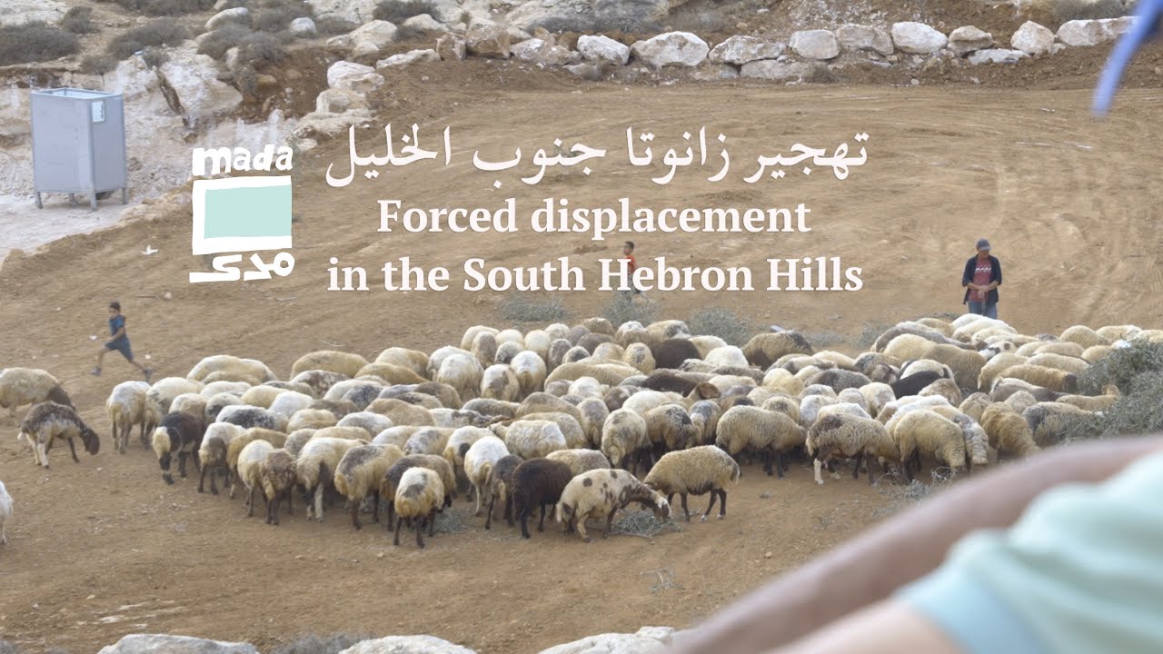 Forced displacement in the South Hebron Hills | تهجير زانوتا جنوب الخليل