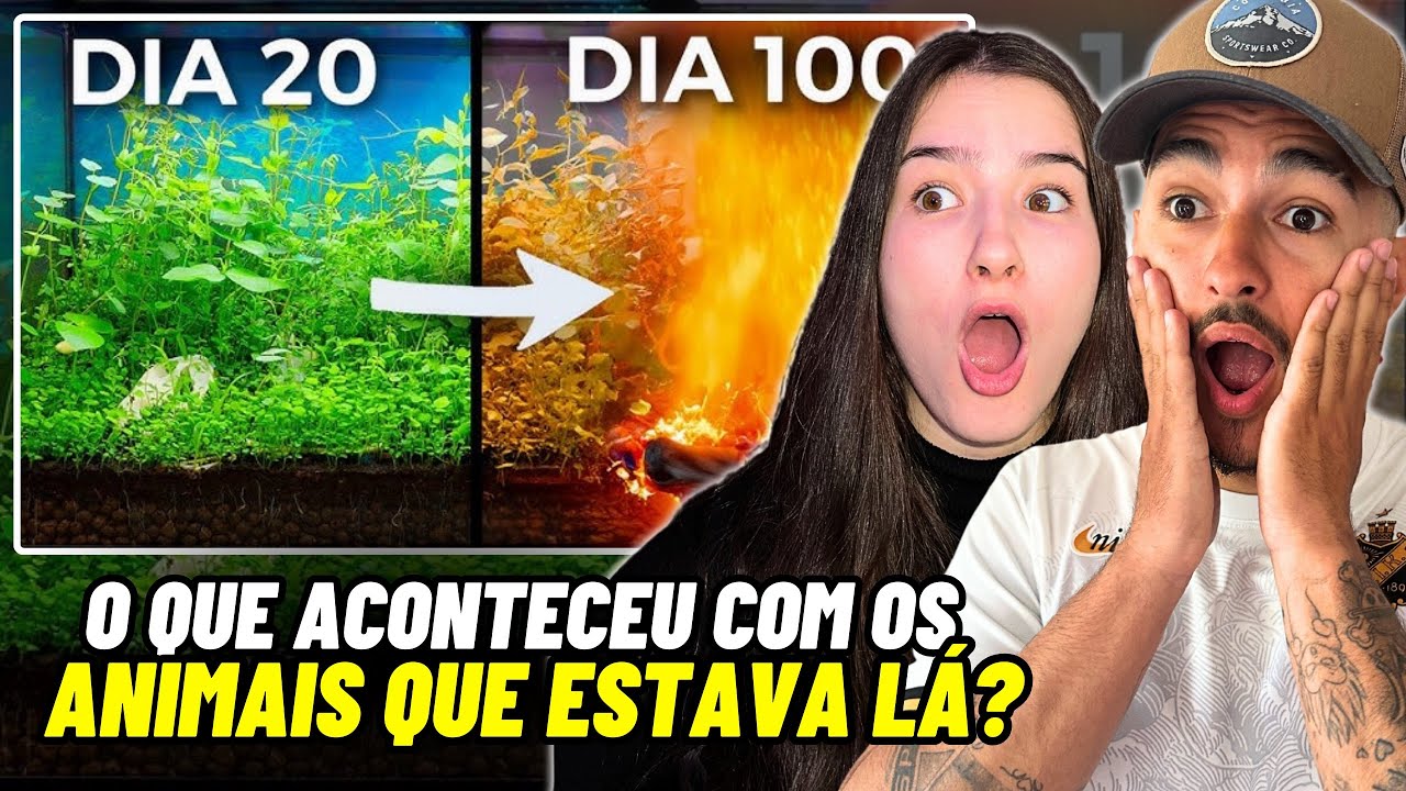 Há 100 Dias Construí um Ecossistema, e Então Isso Aconteceu | Dr. Plants Brasil | Apenas uma live