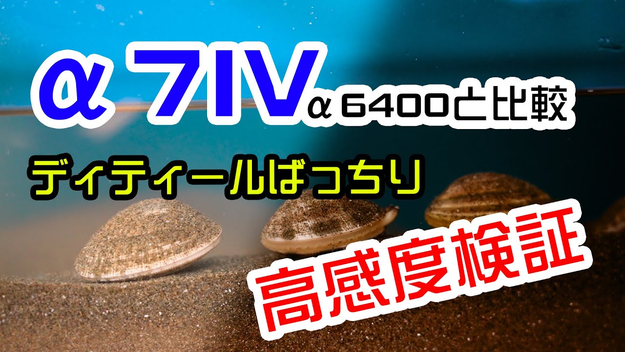 【高感度耐性】&alpha;7IVと&alpha;6400で比べてみました。