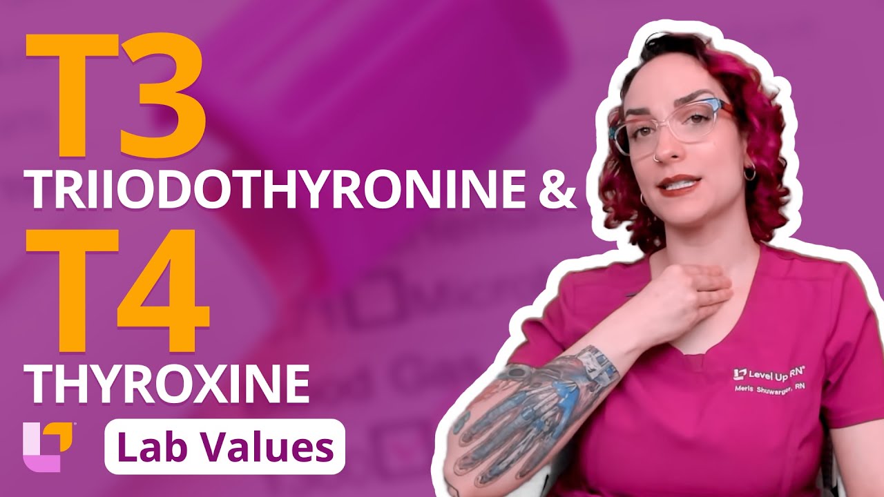 Triiodothyronine (T3) & Thyroxine (T4): Lab Values for Adults, Nursing School  | @LevelUpRN