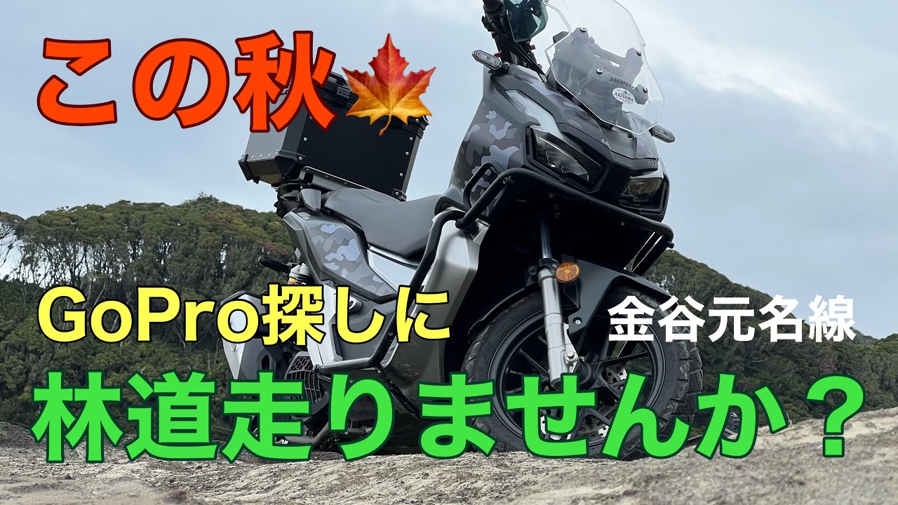 GoPro 落として涙目😢林道走りませんか？この程度でも走れます！初心者のADV150林道解説　【金谷元名線】