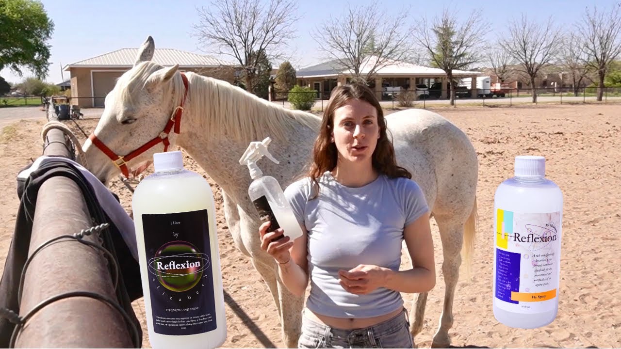 Reflexion Horse Product Tutorials
