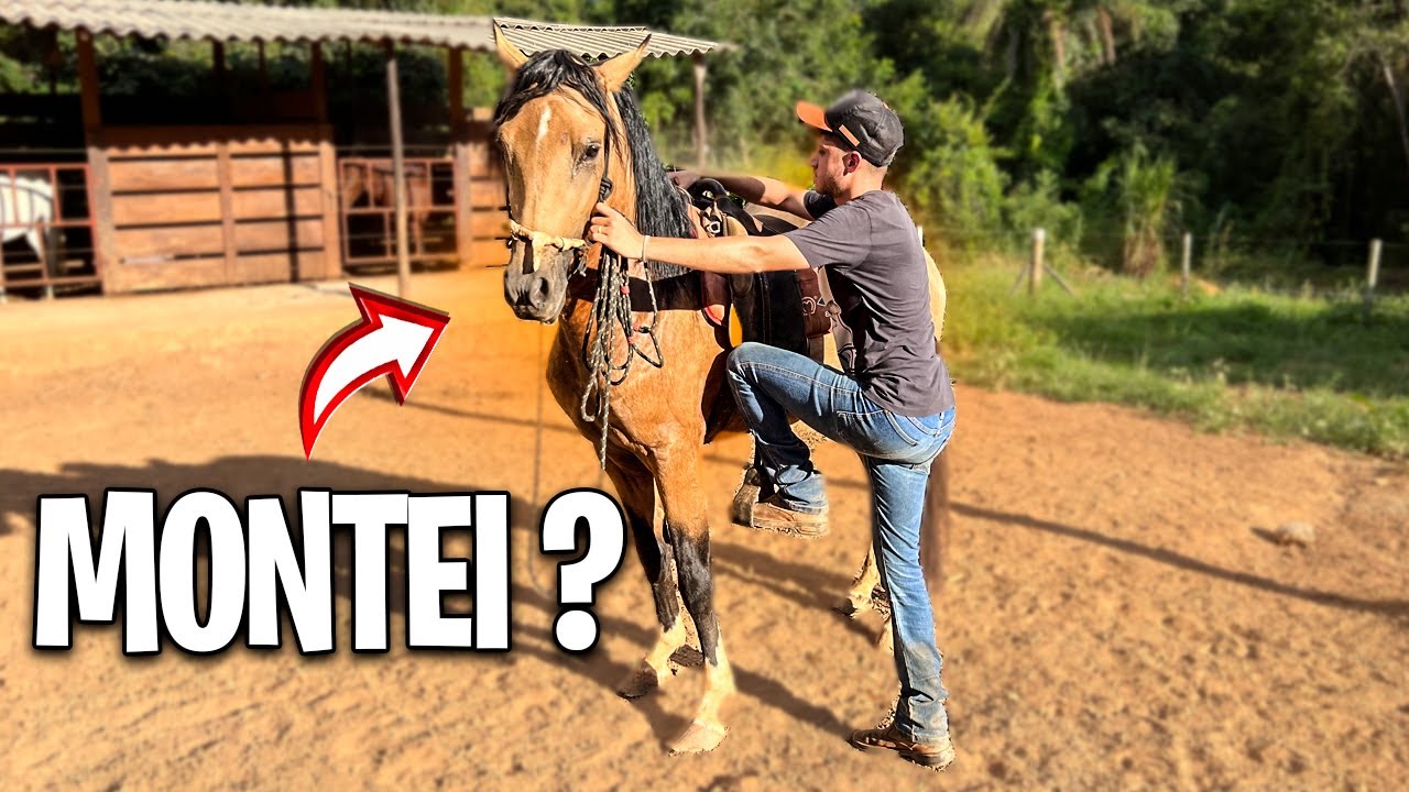 DOMANDO o NOVO GARANH&Atilde;O