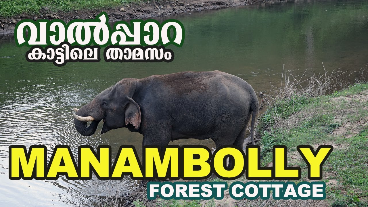MANAMBOLLY REST HOUSE | VALPARAI | BOOKING DETAILS | ATR POLLACHI | ANAIMALAI TIGER RESERVE | FOREST