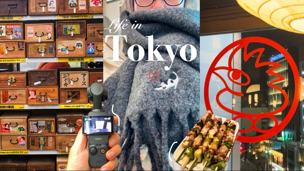 Life in Tokyo, Japan/vlog/travel/flea market/torikizoku/7 eleven smoothie/cat day/osmo pocket 3/ski
