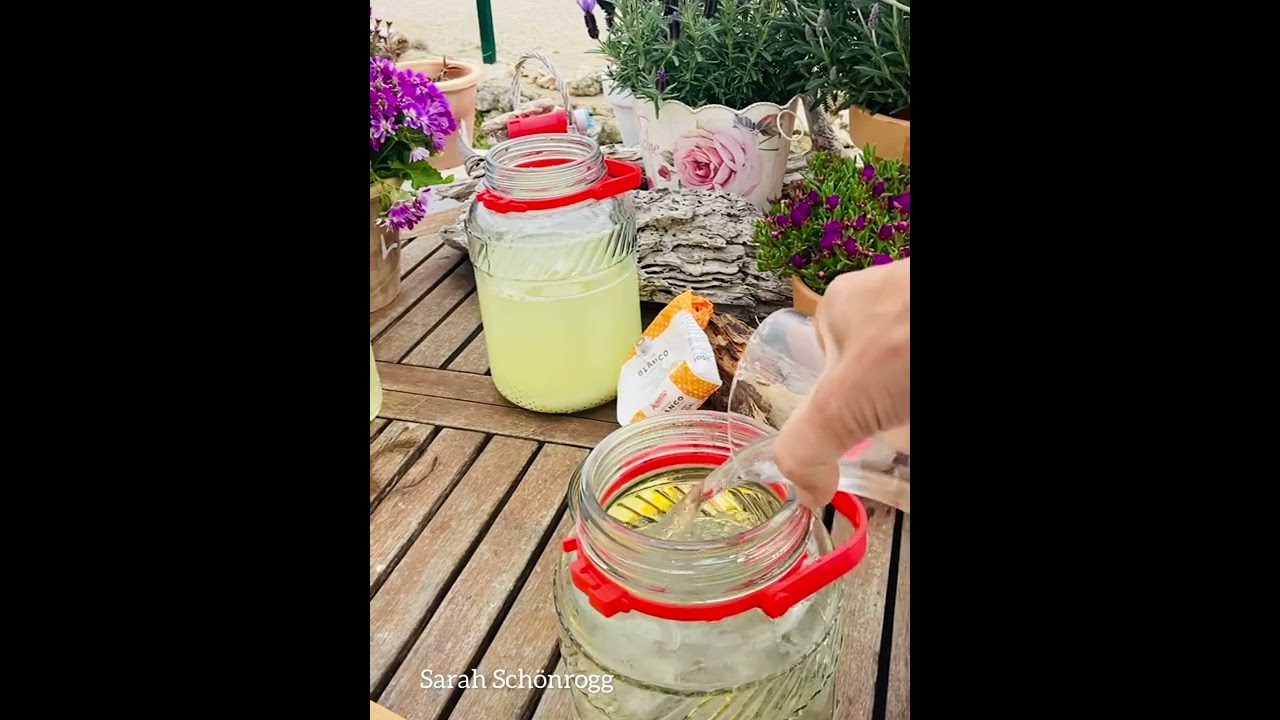 Wasser Kefir - eine leckere und gesunde alternative zu Soft-Drinks