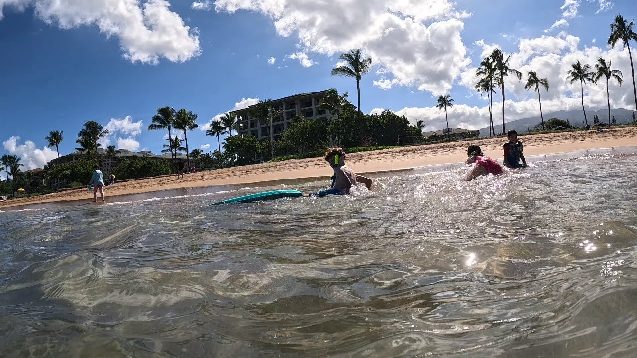 Maui Swimming Adventure – Ocean & Beaches