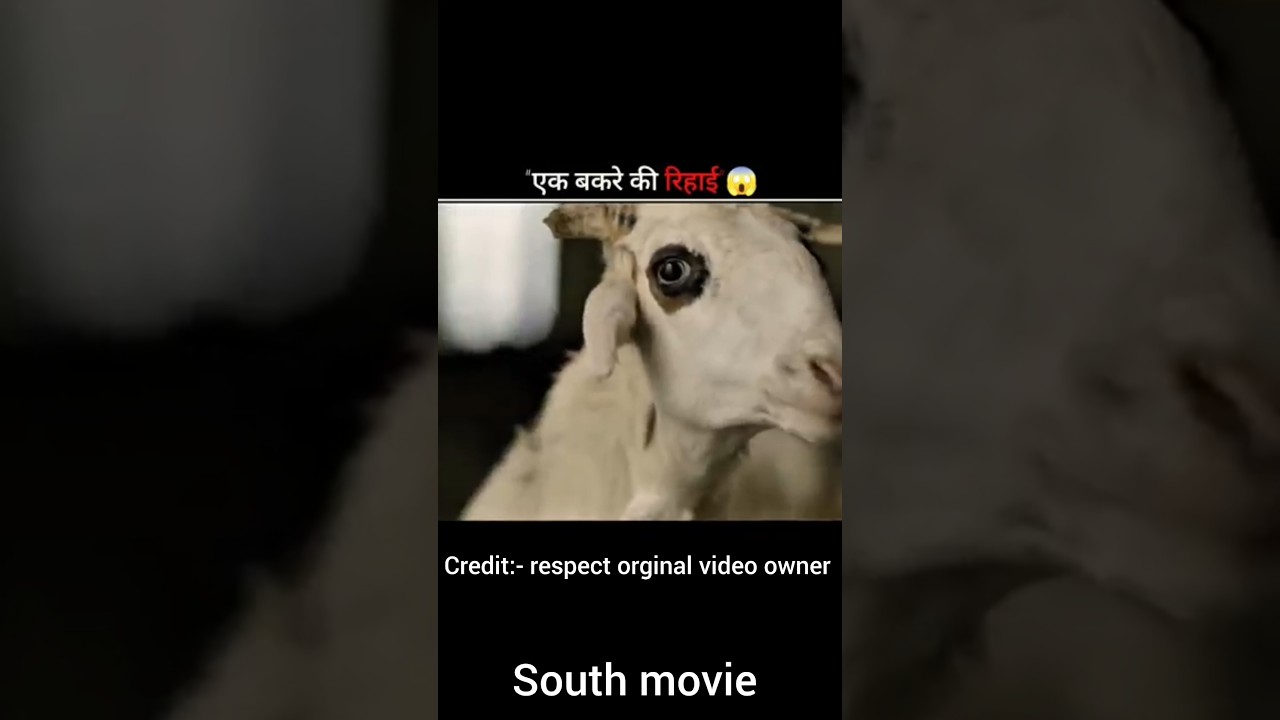 (part 2) Gorrepuranam Movie Explained In Hindi Dubbed 