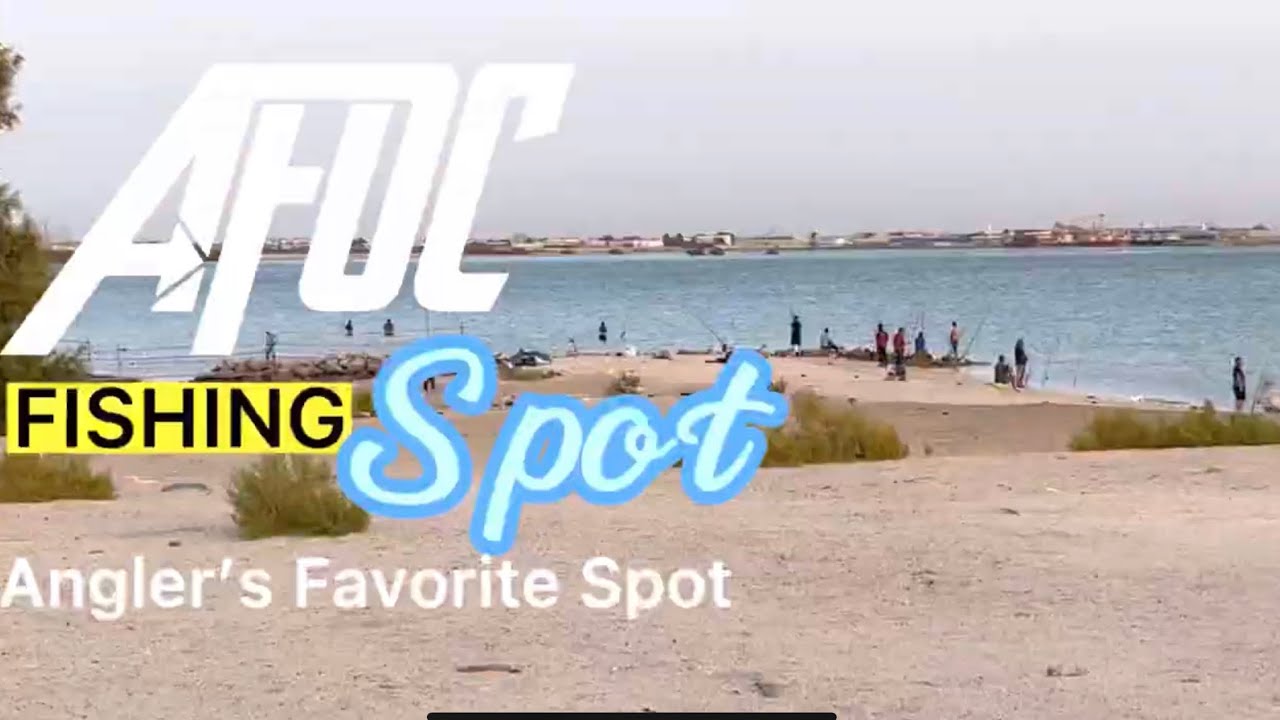 The best Fishing Location in Abu Dhabi - AFOC | Arm Forces Officer's Club (AFOC) #fishing