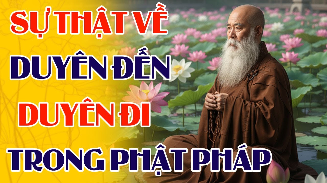 Sự Thật Về Duyên Đến, Duyên Đi Trong Giáo Lý Nhà Phật | Bài Học Về Duyên Trong Phật Pháp