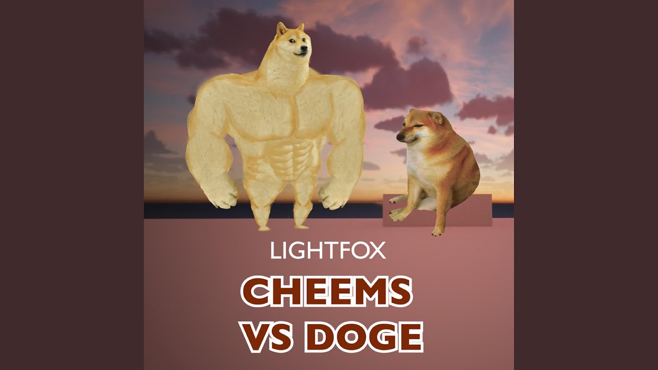 Cheems VS Doge