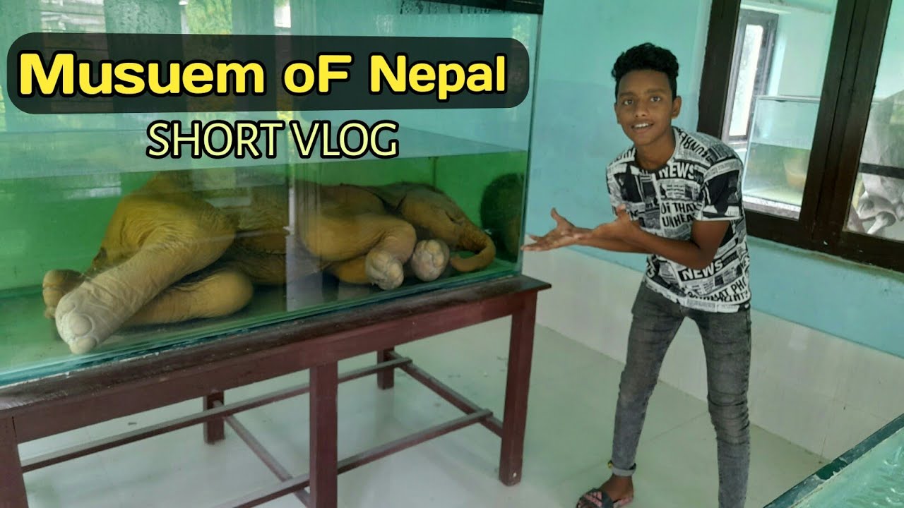MUSEUM OF NEPAL | Short Vlog | Team 420 |