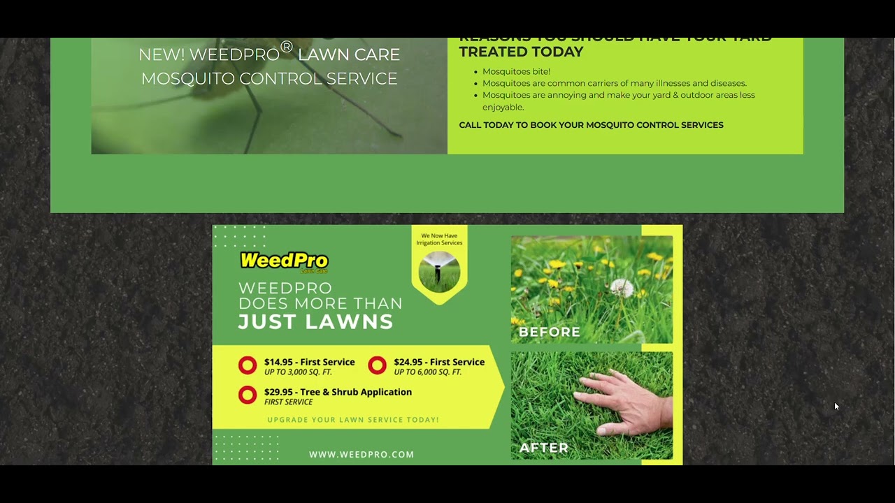 Your Trusted Partner for Weed Control in Alpharetta, GA |  Weed Pro Lawn Care