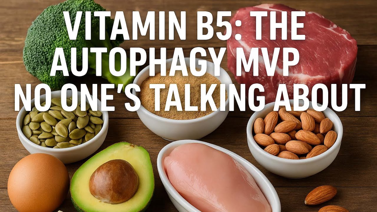 Vitamin B5: The Autophagy MVP No One&rsquo;s Talking About