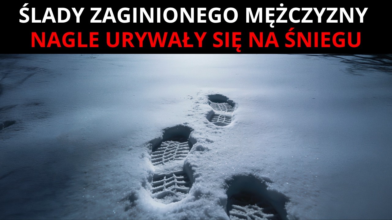 Эпизод 104 &ndash; Missing 411 RU &ndash; Следы мужчины внезапно исчезли на снегу