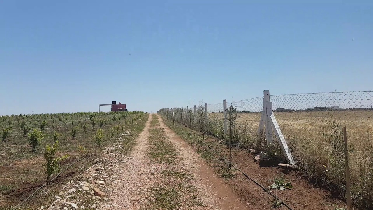 Ferme a  Vendre Région  Meknès - Boufkrane  de 10000 m²