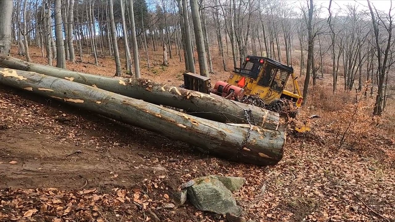 LKT 81 Turbo - Ťažba v strmom kopci s reťazami .Stihl ms 500 i, keď nejde tam , kam treba .