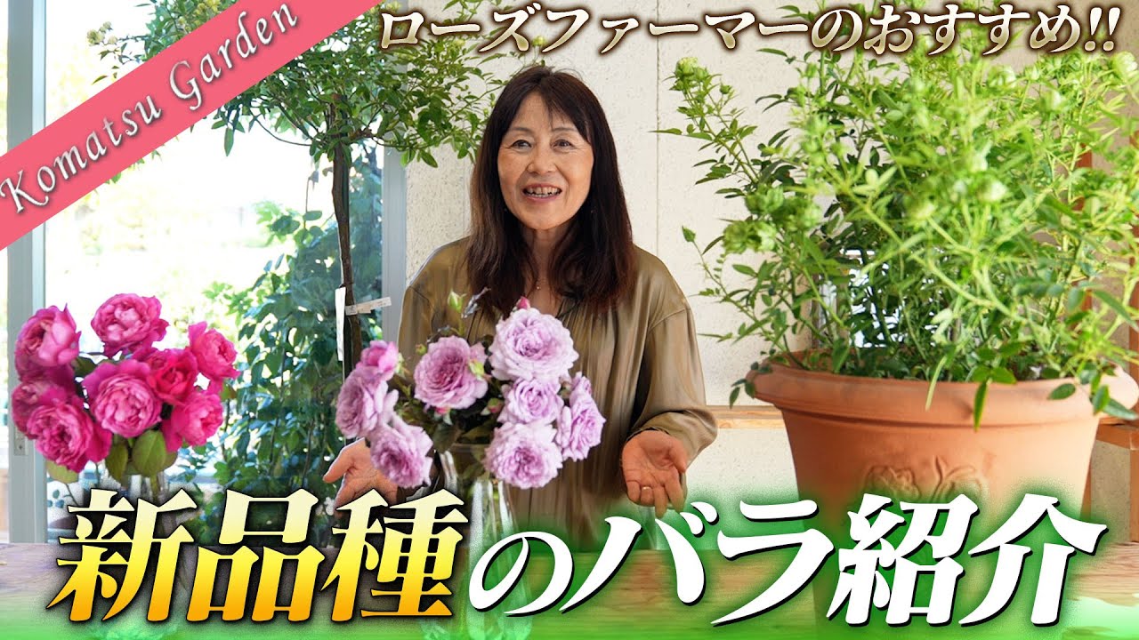 【バラの品種紹介】2021年発表のコマツガーデン新品種紹介します♪