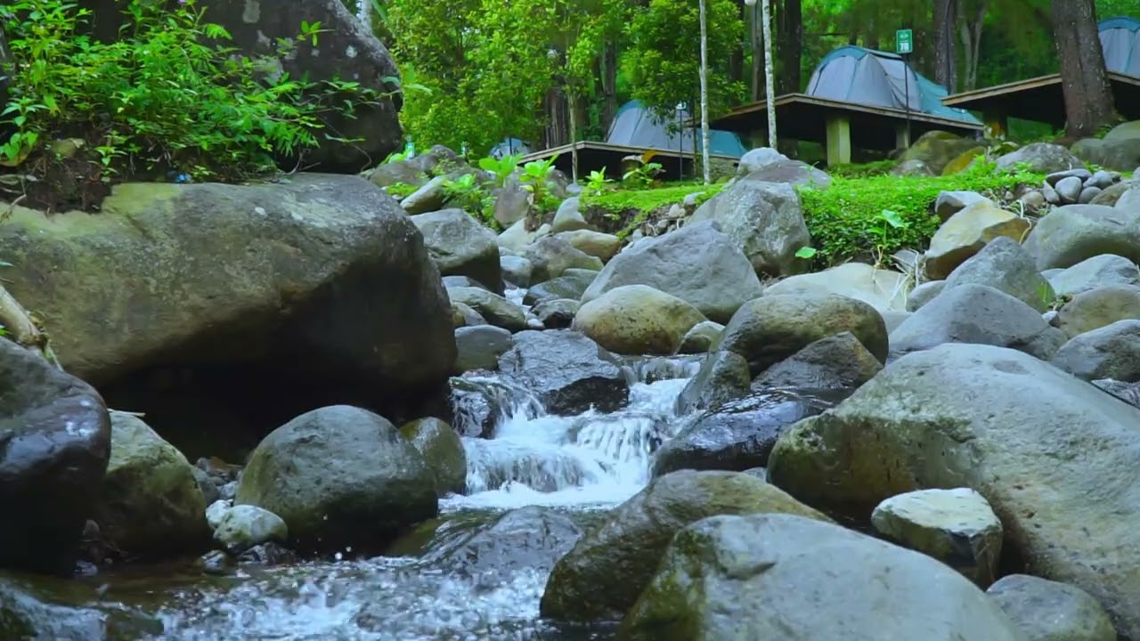 Natural River Sounds for Studying and Focus | Calm Water Flow for Relaxing Mind