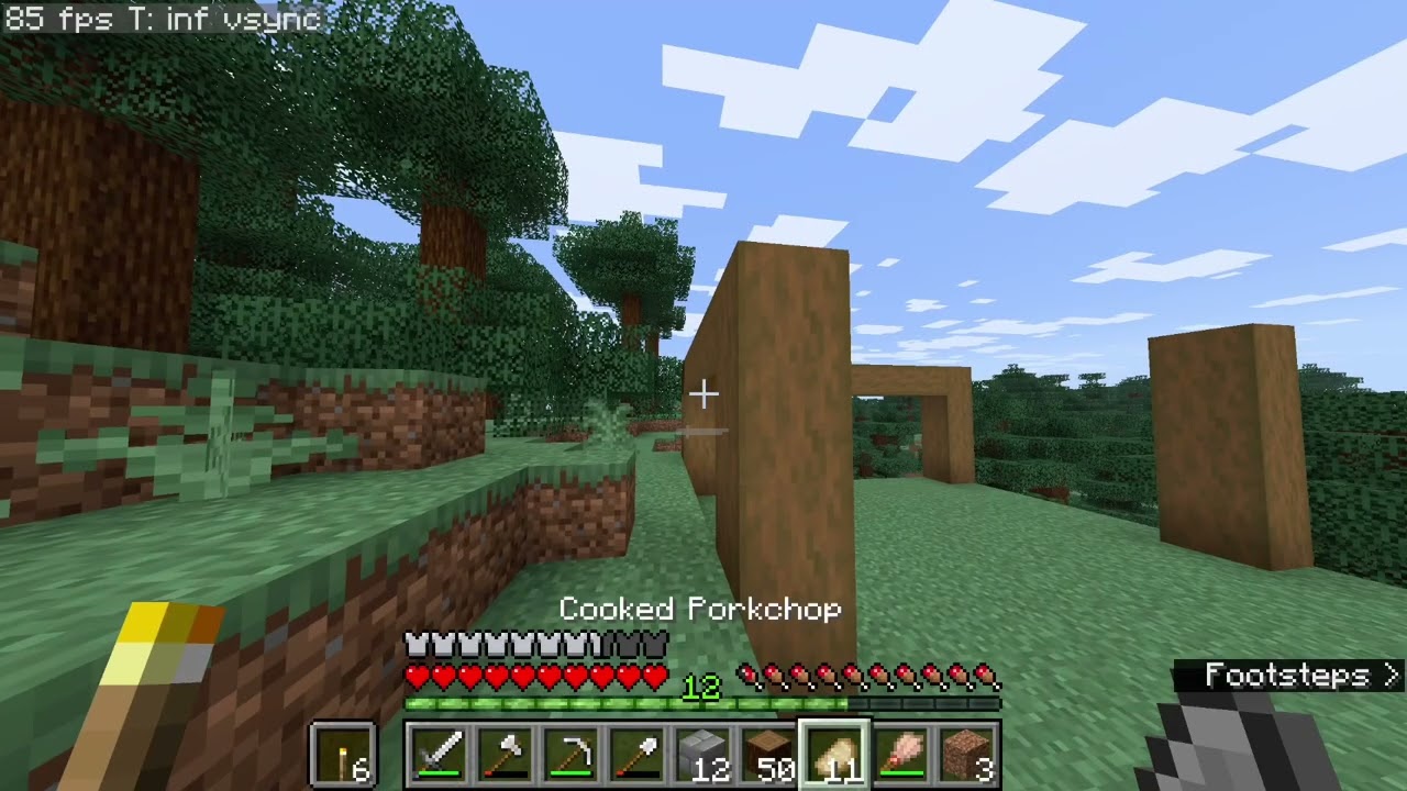 Long Term Minecraft Day 2