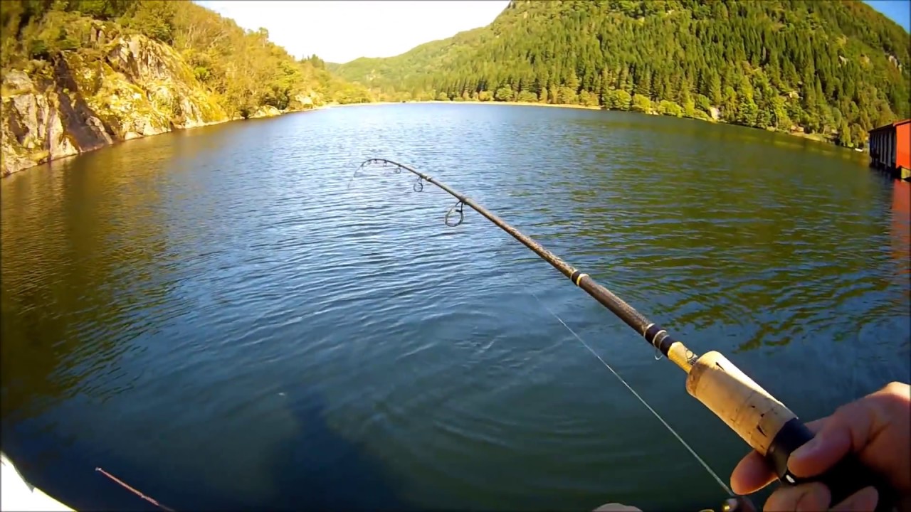 Angeln in Südnorwegen  - 2 Teil - Norway Fishing