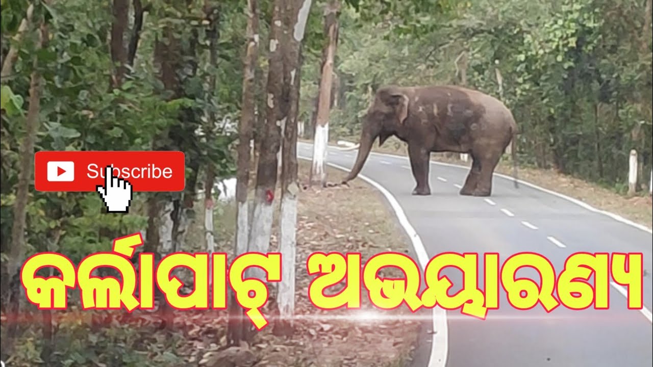 Phurli Jharan | Karlapat Wildlife Sanctuary | Jakam Forest House | Odisha Tourism