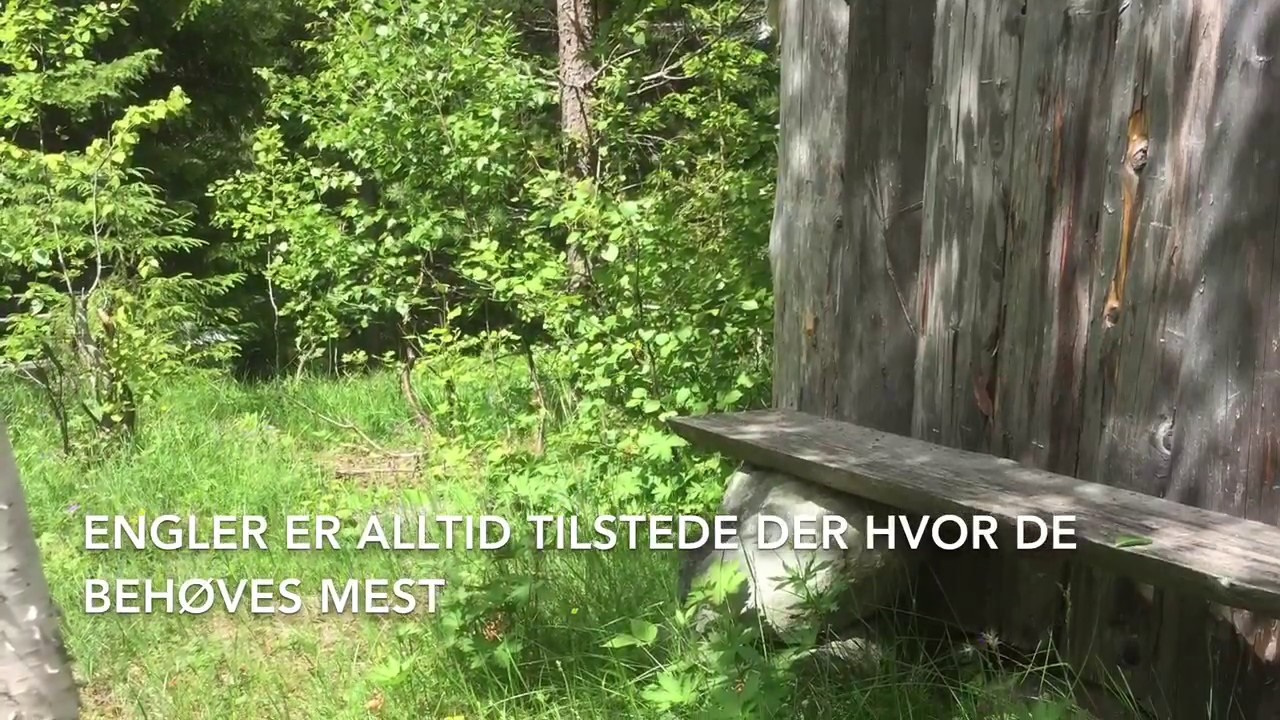 Spesiell omsorg for de svake