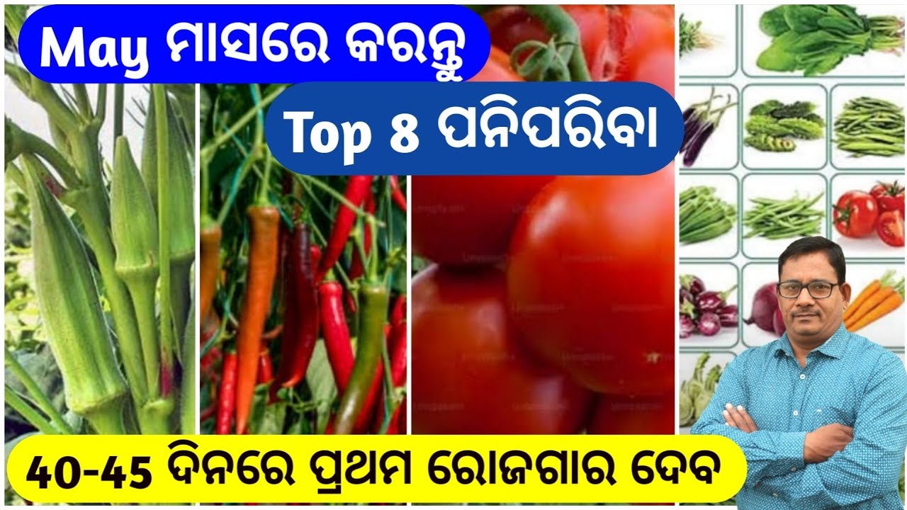 May ମାସରେ ଲଗାନ୍ତୁ ଏହି ପନିପରିବା 40 ଦିନରୁ ରୋଜଗାର ଦେଇଥାଏ Vegetable cultivation