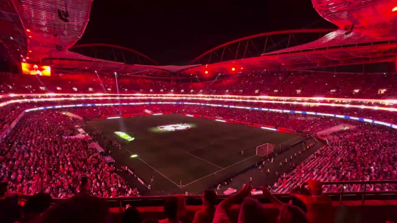 SLBenfica vs Feyenoord - 23/10/2024