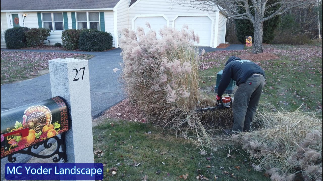 Solo Saturday Cleanups | Part 1