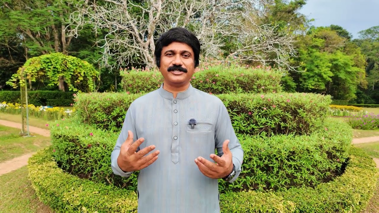 Feb 12th, 2026 ఈ రోజు దేవుని వాగ్ధానం Today's Promise of God - PJSP Life Changing Message